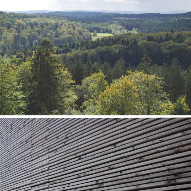 Auf dem Foto ist ein Mischwald von oben zu sehen und unten eine Holzverschalung (Fotos: I.  Kehr))