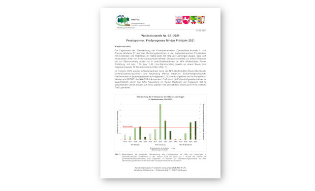 Ansicht eines Merkblatts
