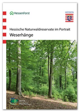 Cover des Naturwaldreservat-Portraits Weserhänge