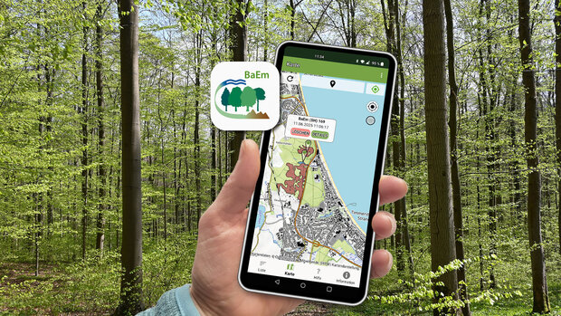 Handy zeigt vor einem Waldbild einen Kartenausschnitt auf dem ein Standort über die App BaEm mobile ausgewählt wurde