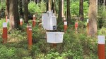 Messinstrumente zur Erfassung von Stoffeinträgen auf Intensivmonitoringflächen im Wald