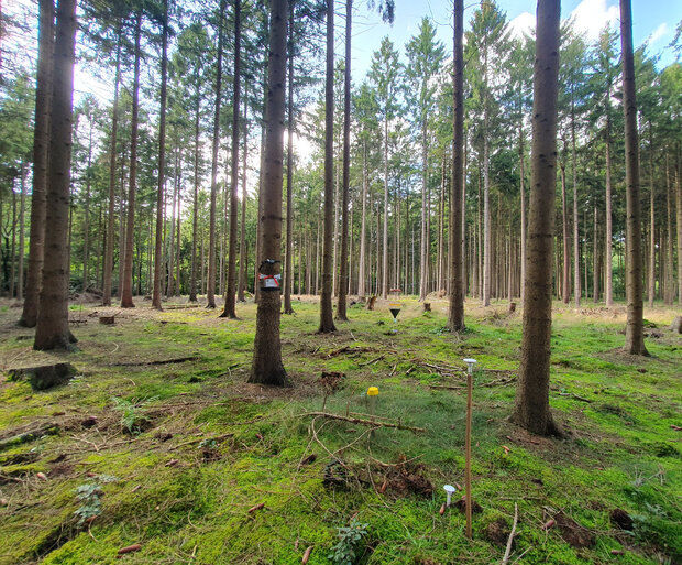 Messgeräte im Wald