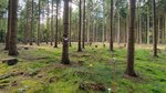 Blick in einen Wald mit Messinstrumenten