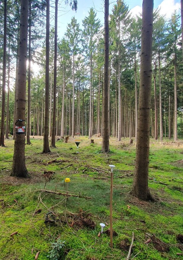 Blick in einen Wald mit Messinstrumenten