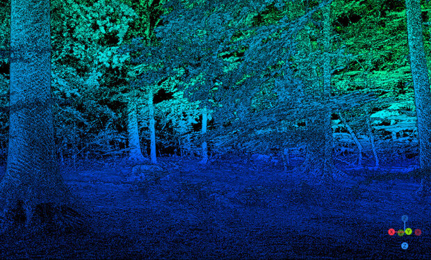 blau eingefärbtes Bild eines Laubholzbestandes