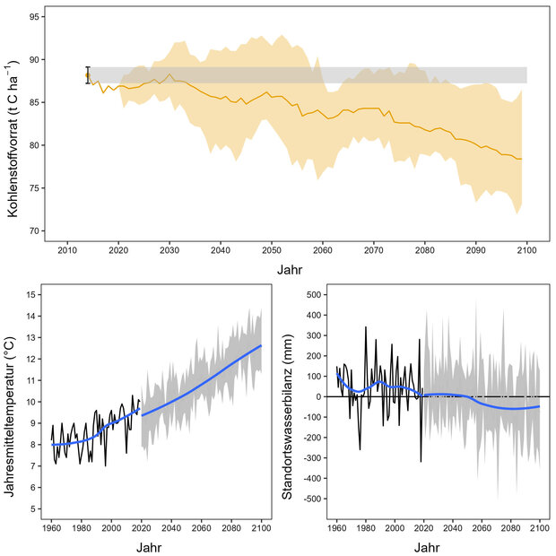 3 verschiedene Graphiken zeigen die  Entwicklung von Bodenkohlenstoffvorräten bis zum Jahr 2100 