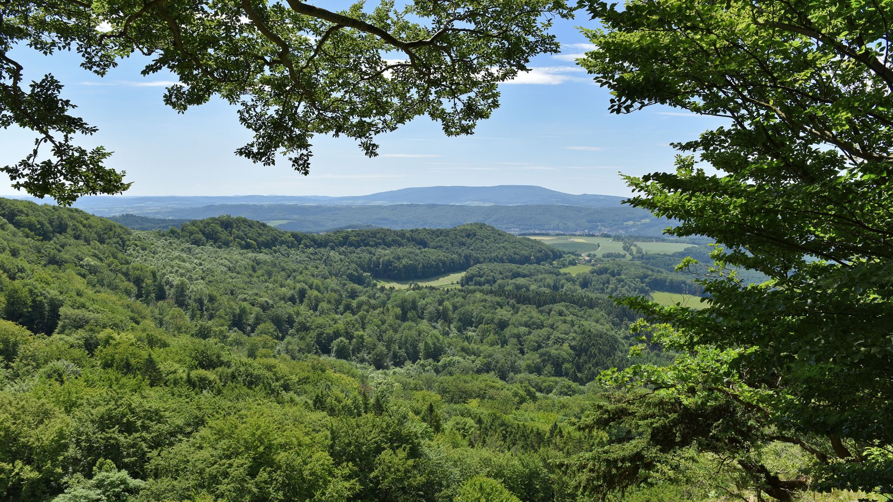 Mittelgebirgslandschaft mit Laubwald