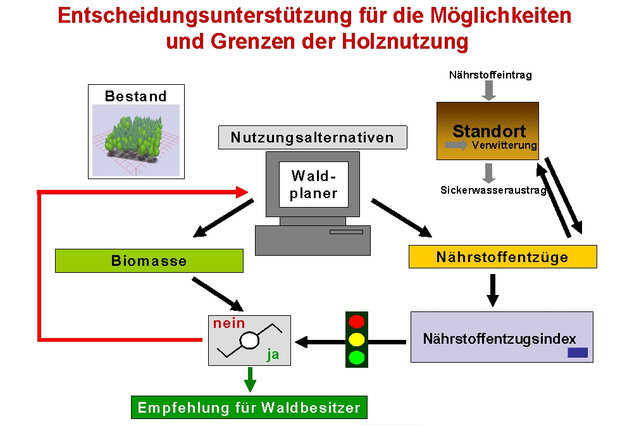Grafik zur Entscheidungsunterstützung für die Möglichkeiten und Grenzen der Holznutzung (Grafik: NW-FVA)