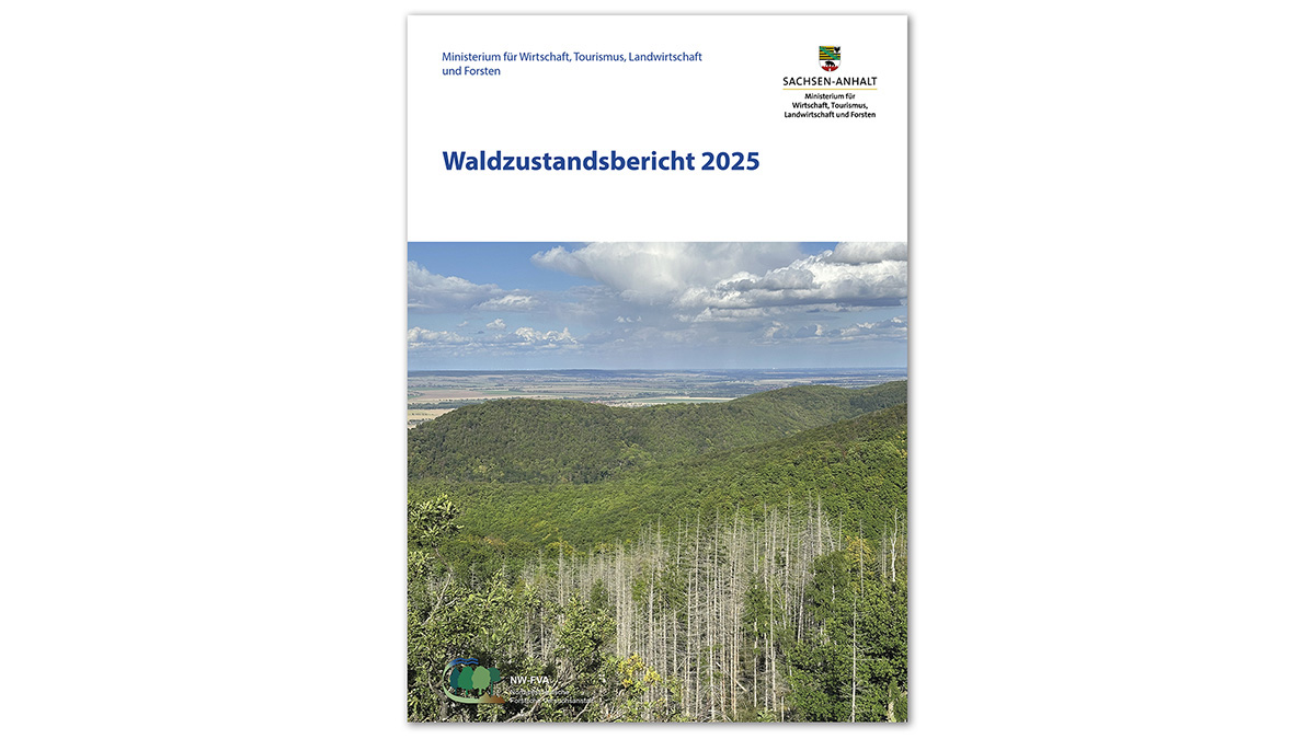 Titel des Waldzustandberichts 2025 Sachsen-Anhalt